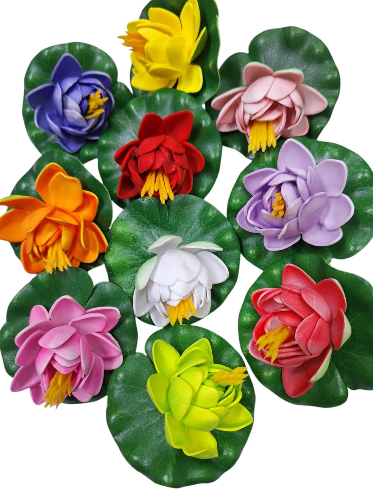 Floating Lotus